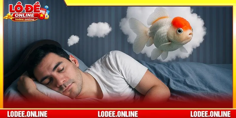 Mơ thấy cá đánh con gì là giấc mộng mang nhiều ý nghĩa điềm báo