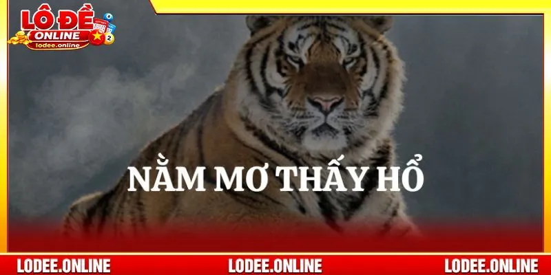 Mơ thấy hổ đánh con gì là câu hỏi được nhiều hội viên lô đề quan tâm
